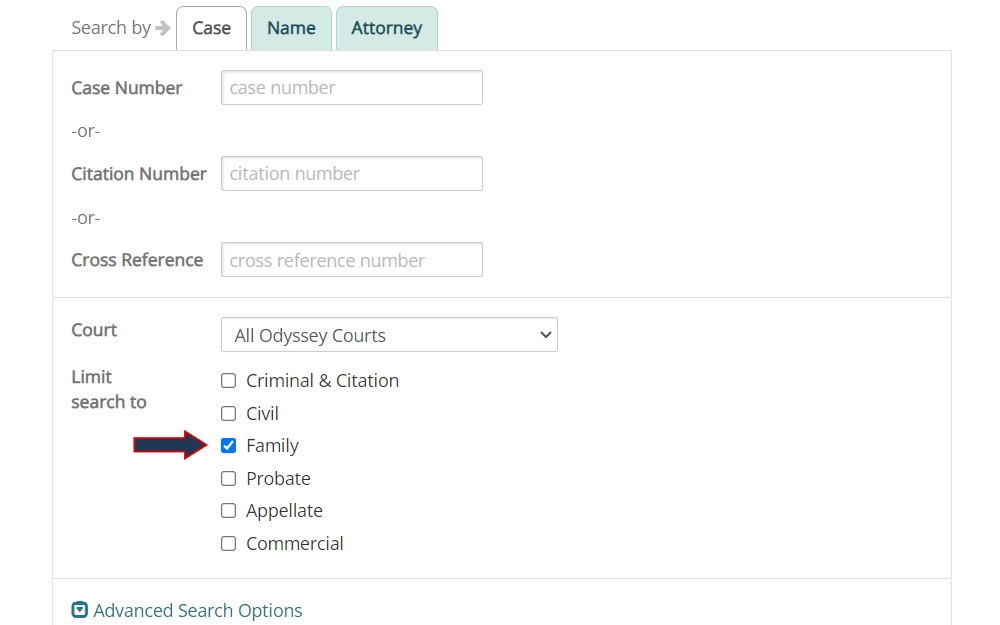 Screenshot of case search by case number with fields for case or citation numbers, cross reference, court and limits options, and tabs for searches by name and attorney.